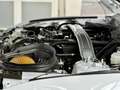 Ford Mustang Mach1 Aut. RECARO +5 Jahre FGS Garantie Weiß - thumbnail 49