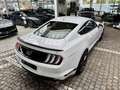 Ford Mustang Mach1 Aut. RECARO +5 Jahre FGS Garantie Weiß - thumbnail 16