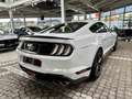 Ford Mustang Mach1 Aut. RECARO +5 Jahre FGS Garantie Weiß - thumbnail 12