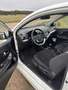 Kia Picanto 1.2 Spirit Weiß - thumbnail 6