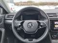 Skoda Superb Combi Style iV 1.4 TSI DSG Navi LED EPH A Blau - thumbnail 12