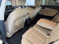 Audi A7 SPB 3.0 TDI 272 CV quattro S tronic Business Plus Nero - thumbnail 10