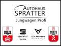 SEAT Ibiza 1.5 TSI ACT DSG FR NAVI ACC LED SHZ Kamera Grau - thumbnail 25
