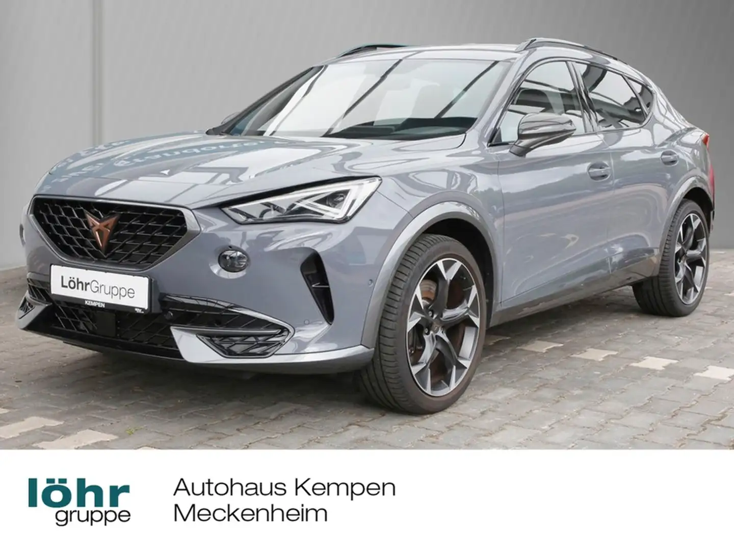 CUPRA Formentor VZ 2.0 TSI DSG 19" BEATS Navi+VC ACC LED RFK+PD... Grau - 1