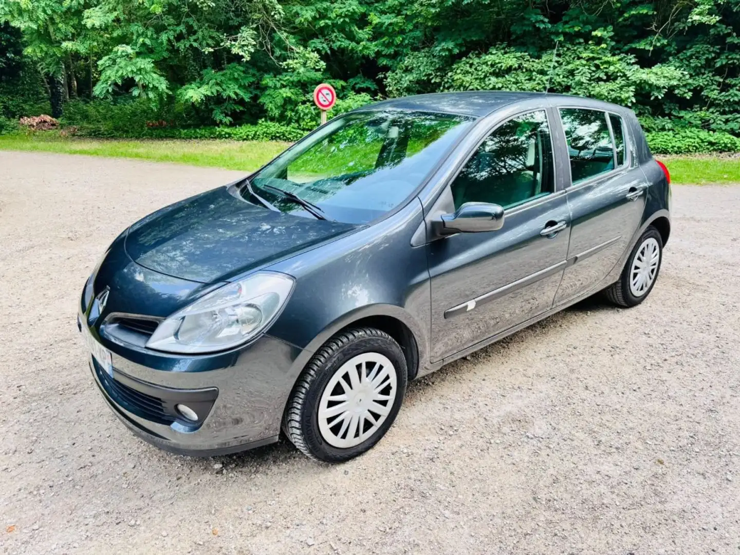 Renault Clio 1.6i - 16V Gris - 1