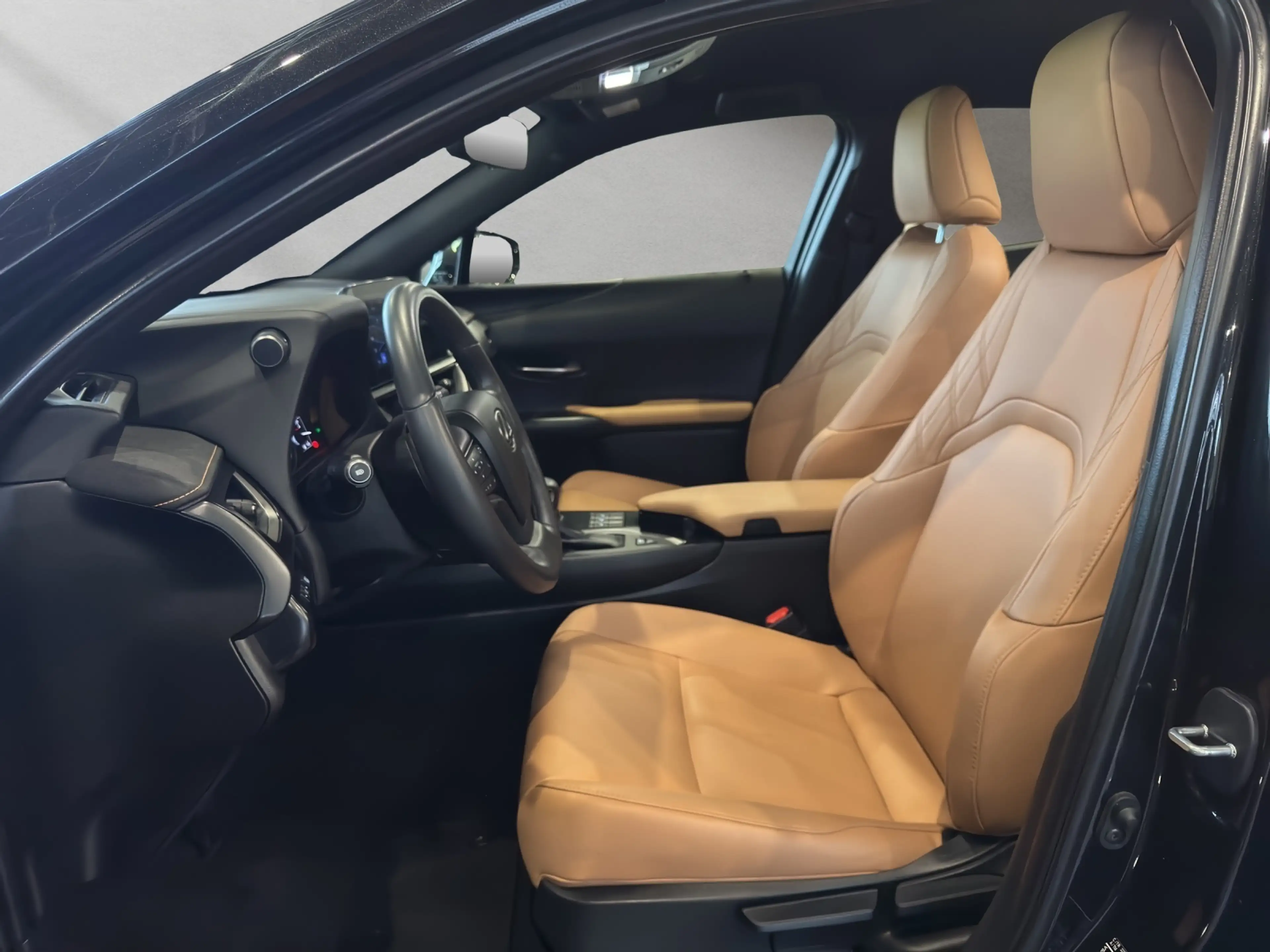 Lexus UX 250h 250 h F-Sport Design Allwetter — photo 9