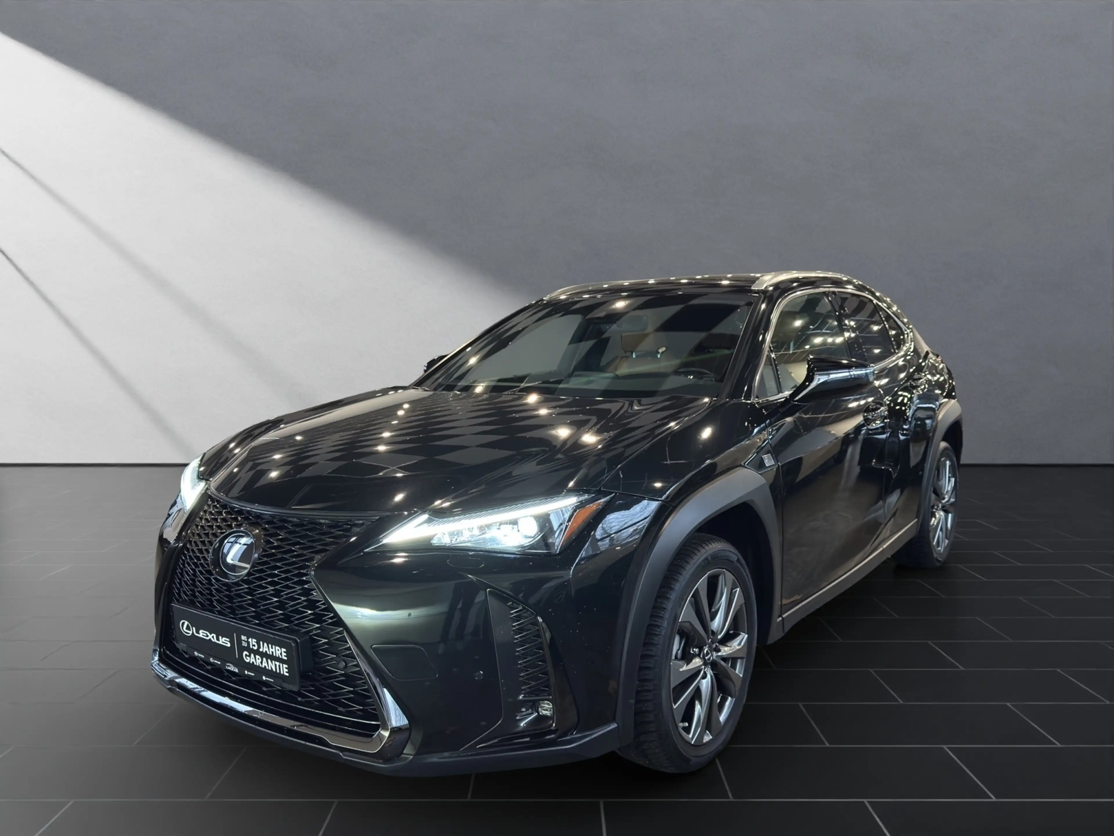 Lexus UX 250h 250 h F-Sport Design Allwetter