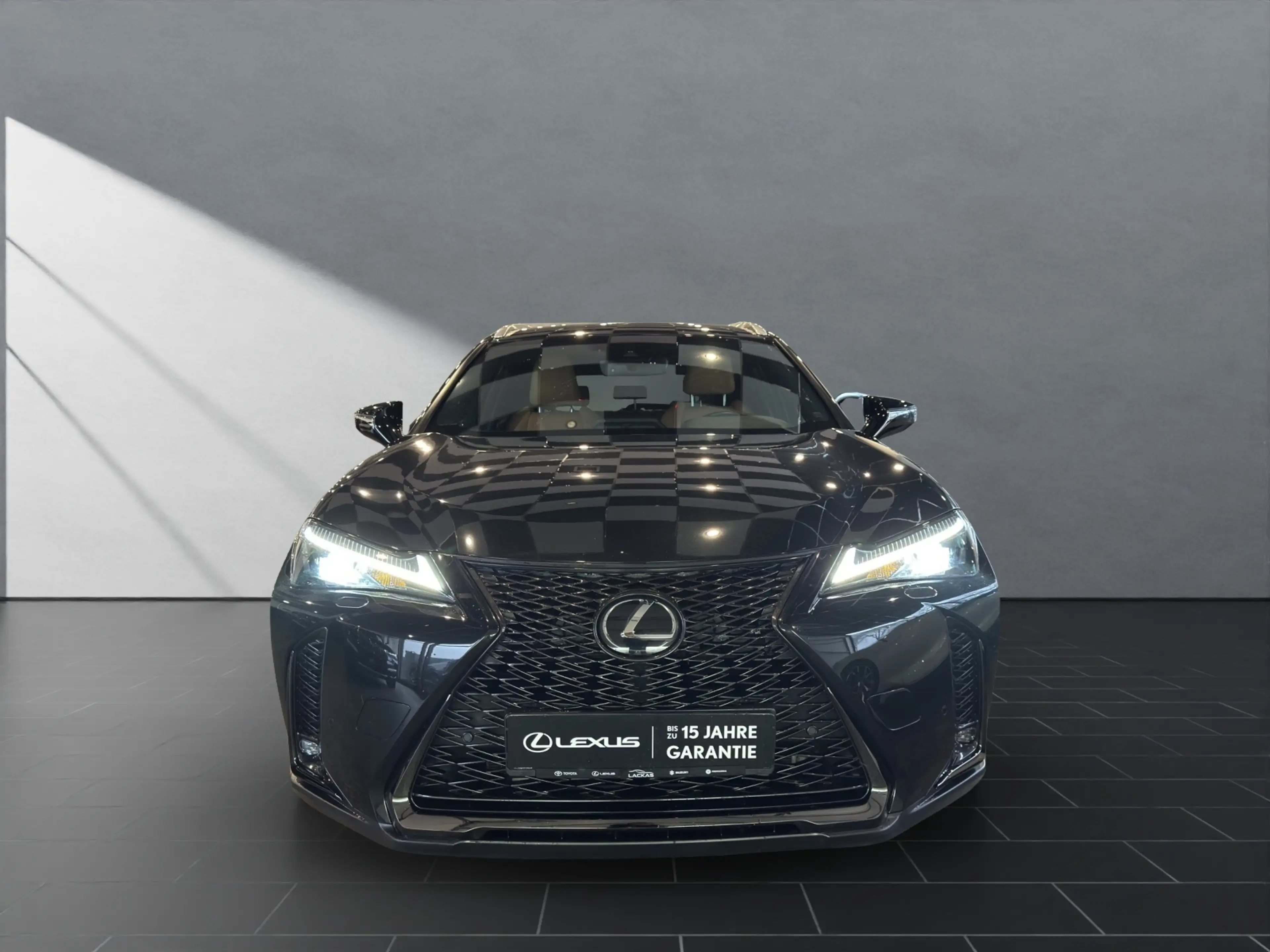 Lexus UX 250h 250 h F-Sport Design Allwetter — photo 8