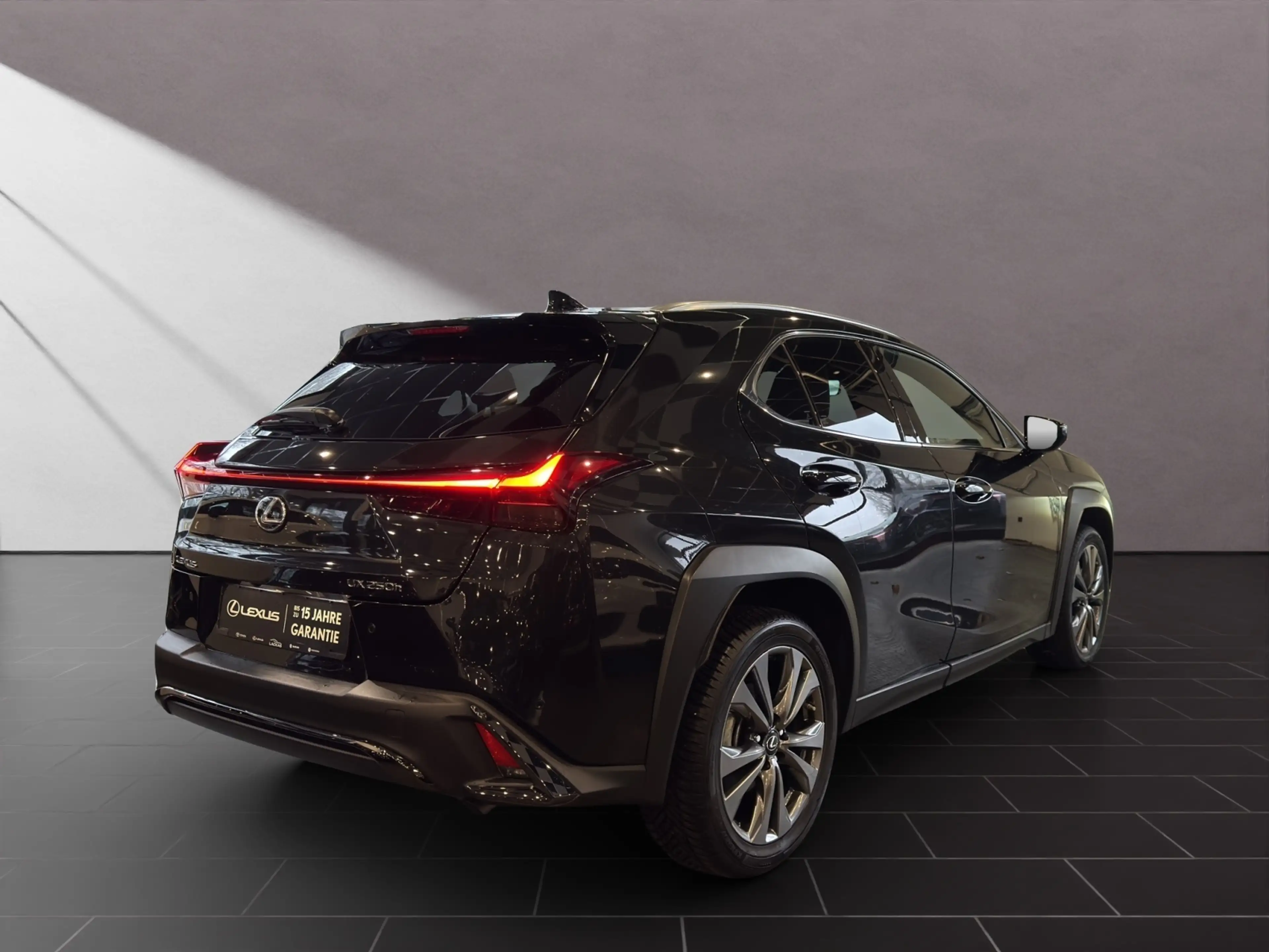 Lexus UX 250h 250 h F-Sport Design Allwetter — photo 5
