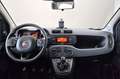 Fiat Panda FIAT Panda 1.3 MJT 95 CV S&S 4x4 Wit - thumbnail 15
