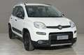 Fiat Panda FIAT Panda 1.3 MJT 95 CV S&S 4x4 Wit - thumbnail 5