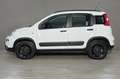 Fiat Panda FIAT Panda 1.3 MJT 95 CV S&S 4x4 Wit - thumbnail 10