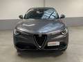 Alfa Romeo Stelvio 2.2 Turbodiesel 160 CV AT8 RWD Business Grau - thumbnail 1