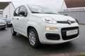 Fiat Panda HYBRID *PDC*Bluetooth*Tempomat*Klima*uvm! Weiß - thumbnail 3