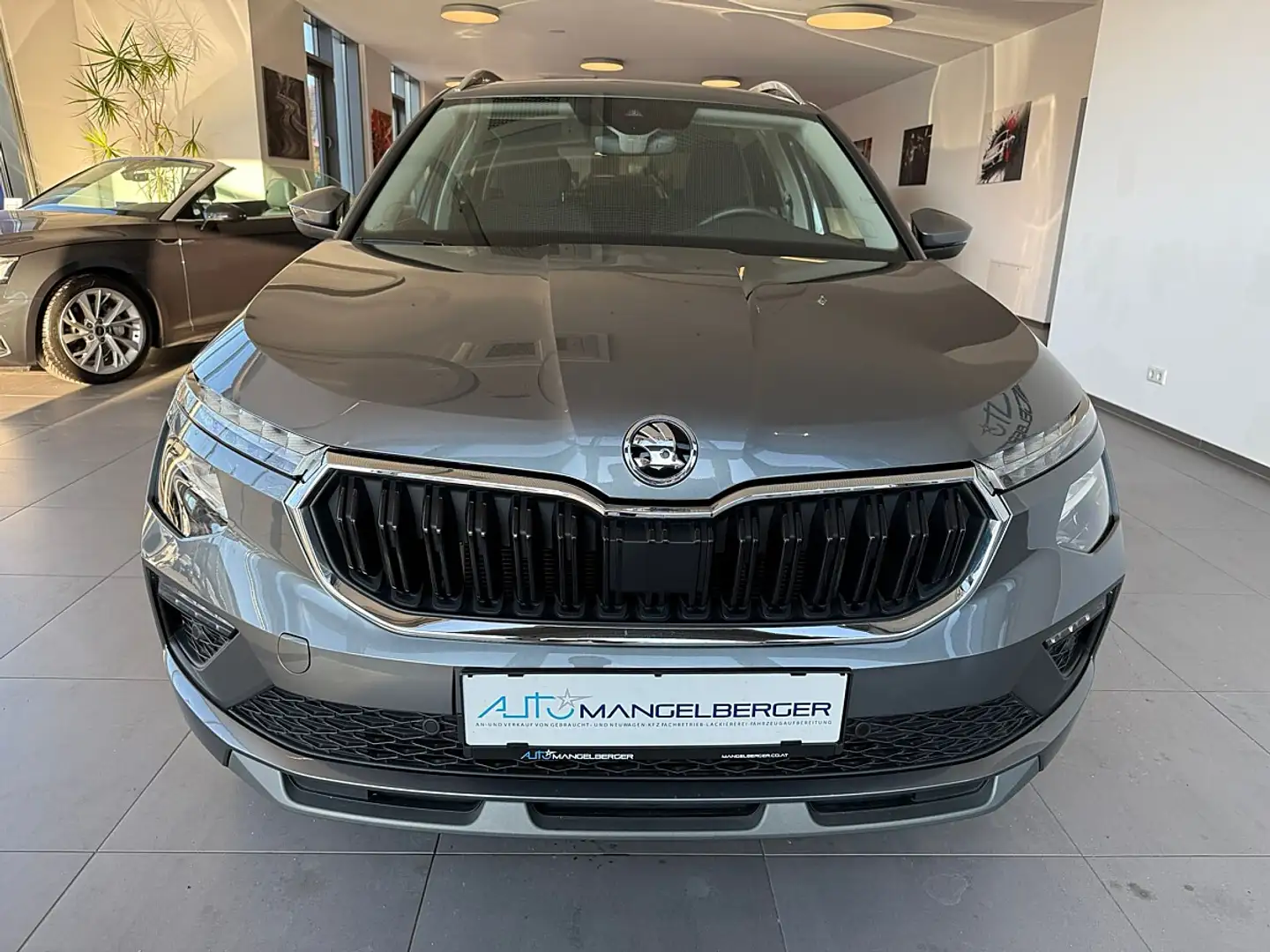 Skoda Kamiq 1,0 TSI Selection DSG Grau - 2