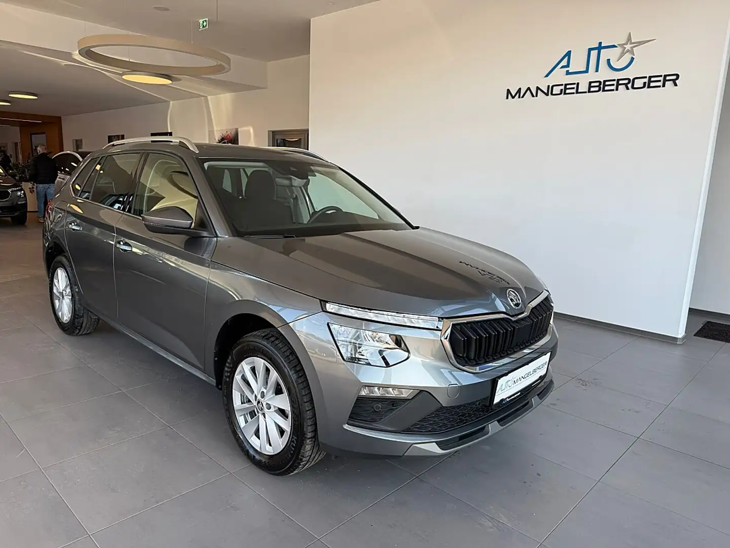 Skoda Kamiq 1,0 TSI Selection DSG Grau - 1