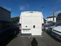 Fiat Ducato 100 Multijet 2,2 D Weiß - thumbnail 4