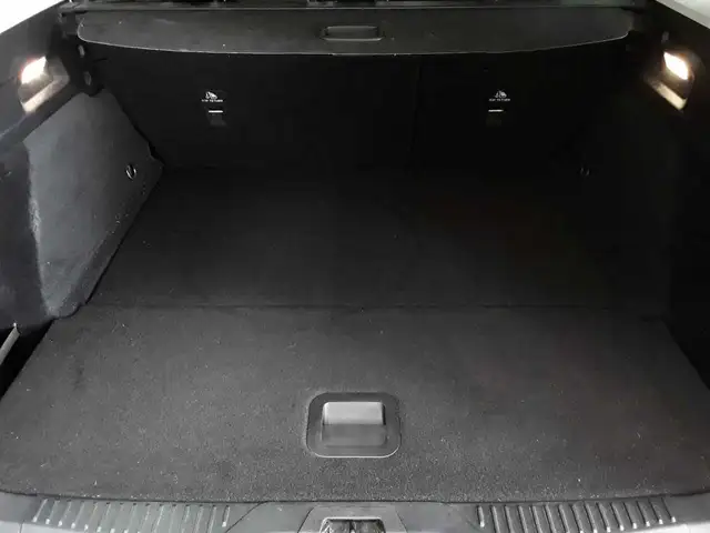 Ford Focus view 9