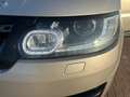 Land Rover Range Rover Sport 3.0TDV6 SE Aut. Beige - thumbnail 20
