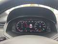 SEAT Ibiza 1.0 TSI DSG Xcellence *Navi*Pano*Kamera*Ke Grün - thumbnail 10