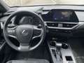 Lexus UX 250h UX Hybrid Urban Gris - thumbnail 15