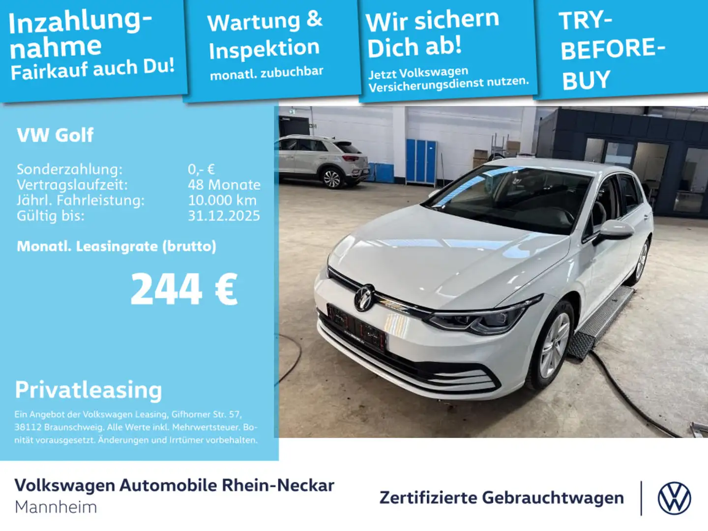 Volkswagen Golf VIII 1.5 TSI Life Navi PDC LED uvm Weiß - 1