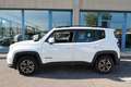 Jeep Renegade 1.0 T3 Business Bianco - thumbnail 3