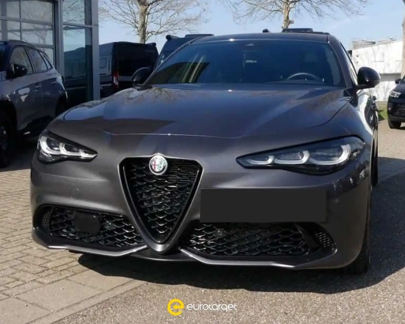 Alfa Romeo Giulia 2.0 Turbo 280 CV AT8 AWD Q4 Veloce Grigio - 1