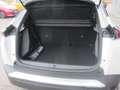 Peugeot 2008 Elektromotor 136 Active Blanc - thumbnail 12