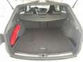 SEAT Leon ST Cupra 300 4D 2.0 TSI DSG NAVI ACC LED Klima Weiß - thumbnail 4