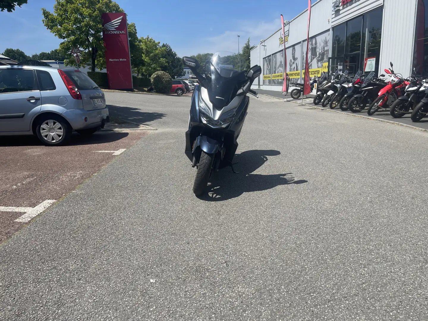 Honda Forza 300 Bleu - 2
