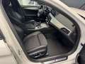 BMW 520 d xDrive Aut. Alpina Weiss - M Paket Weiß - thumbnail 16