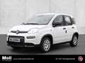 Fiat Panda Mild Hybrid City Paket  Gelato Weiß Wit - thumbnail 1