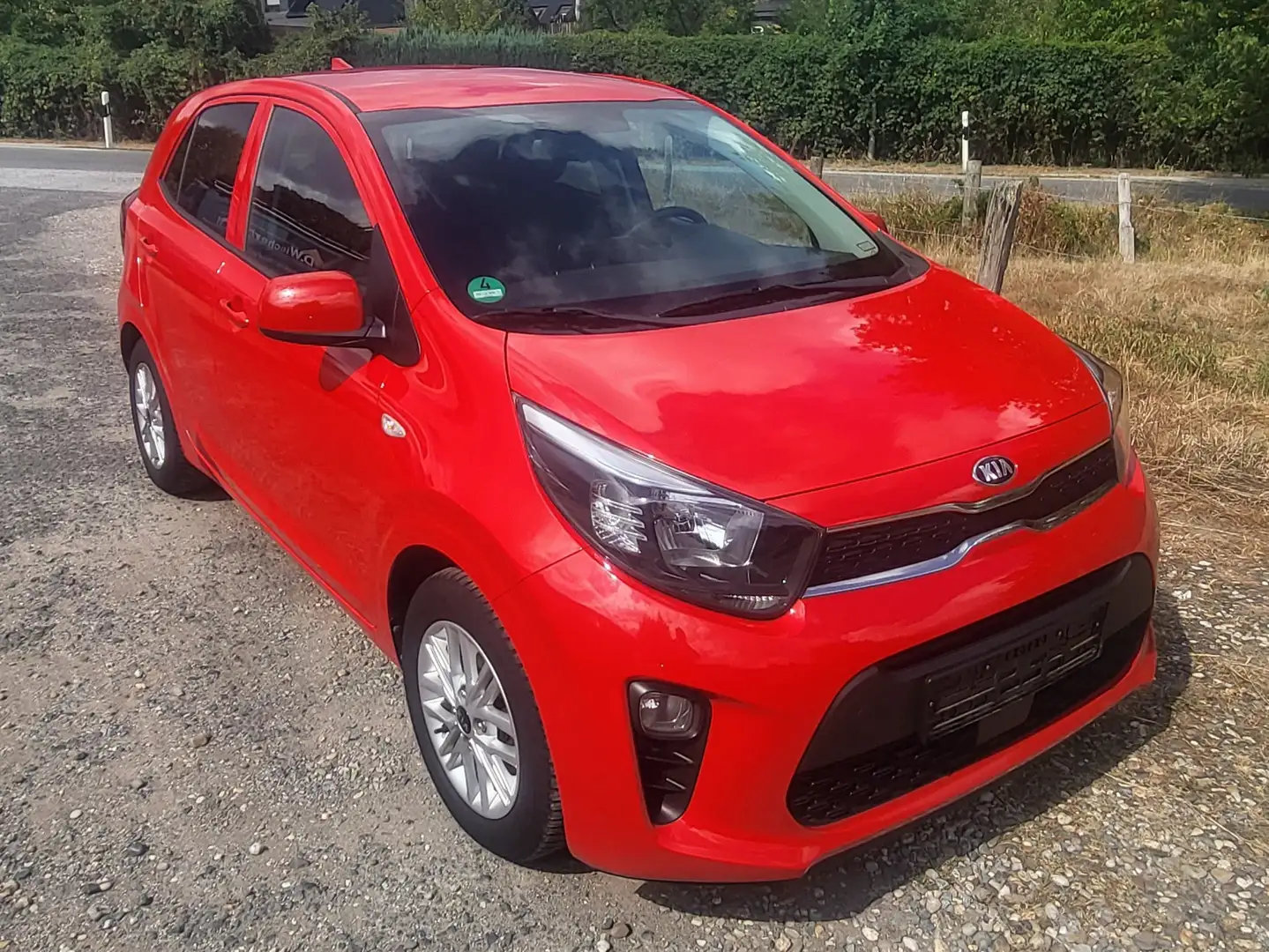Kia Picanto Picanto 1.0 Dream-Team Edition Rot - 1