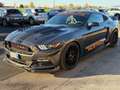 Ford Mustang Mustang 3.7 Allestimento Shelby interno ed esterno Gris - thumbnail 3