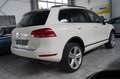 Volkswagen Touareg 3.0 V6 TDI R-Line BMT*Leder*AHK*PDC*SH* Weiß - thumbnail 5
