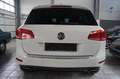 Volkswagen Touareg 3.0 V6 TDI R-Line BMT*Leder*AHK*PDC*SH* Weiß - thumbnail 6