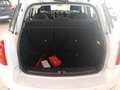 MINI Cooper Countryman Mini Mini 1.6 Cooper ALL4 Automatica Bianco - thumbnail 14
