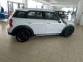 MINI Cooper Countryman Mini Mini 1.6 Cooper ALL4 Automatica Bianco - thumbnail 7