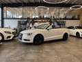 Audi A3 Cabriolet ambition *NAVI*XENON*HIFI*PDC* Blanco - thumbnail 1