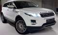 Land Rover Range Rover Evoque Range Rover Evoque Prestige 2,2 TD4 Aut. Prestige Weiß - thumbnail 1