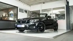 Bmw 220 i M Sport Harman&Kardon HIFI LenkrHeiz DAB