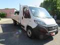 Fiat Ducato MAXI 35 MLH1 3 140 CV CASSSONE CASSONATO* Weiß - thumbnail 4