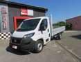 Fiat Ducato MAXI 35 MLH1 3 140 CV CASSSONE CASSONATO* Weiß - thumbnail 1