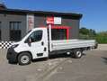 Fiat Ducato MAXI 35 MLH1 3 140 CV CASSSONE CASSONATO* Weiß - thumbnail 2