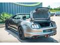 Ford Mustang Mustang 5.0 v8 GT Cabriolet 421 ch Boite Automatiq Gris - thumbnail 25