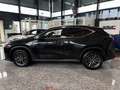 Lexus NX 350h Executive Line LED, 360Kamera, Navi, Pano Schwarz - thumbnail 18
