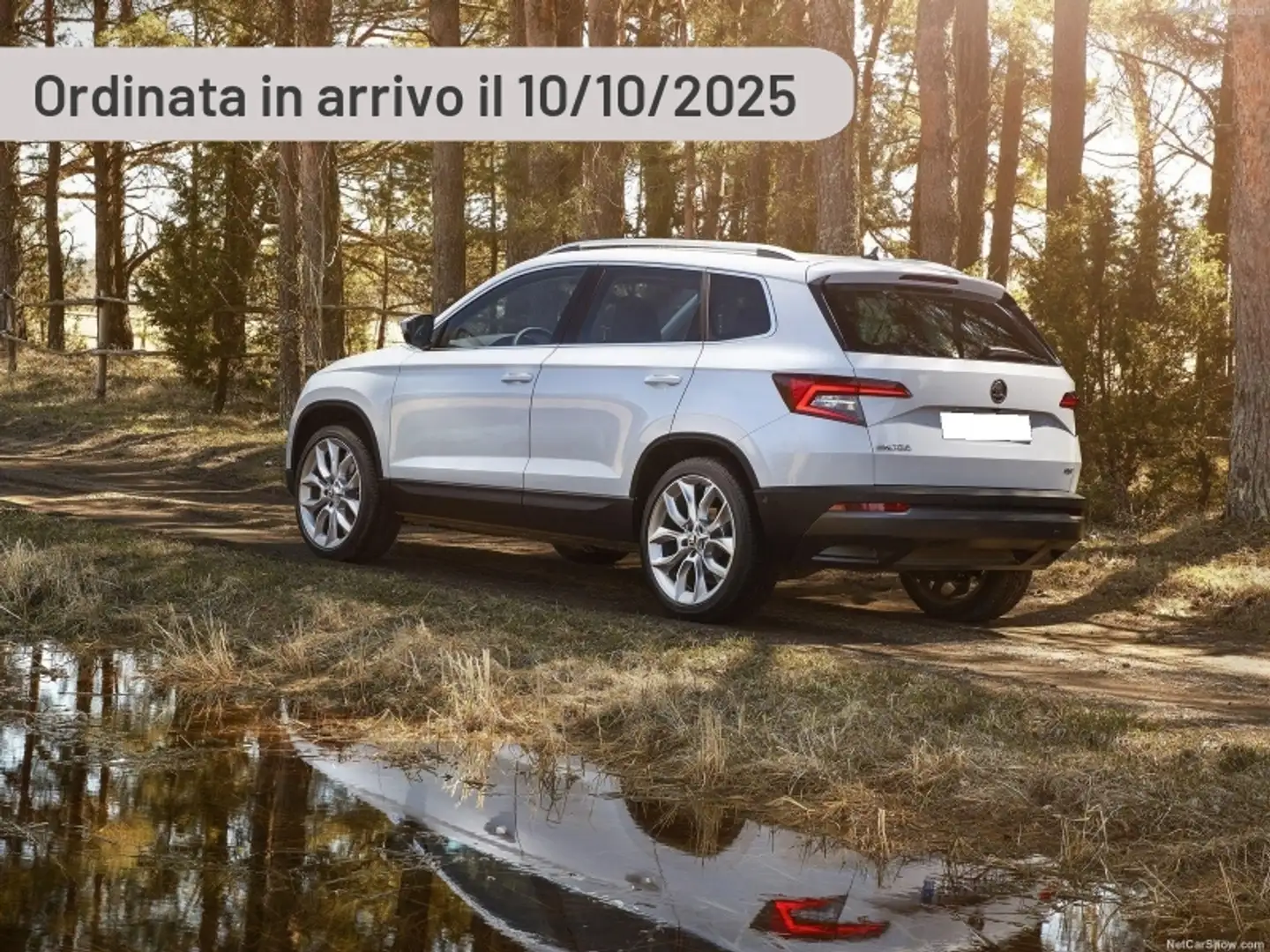 Skoda Karoq 2.0 TDI SCR DSG Style Argento - 1