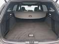 Ford Focus Turnier 1.5 Diesel Aut. ST-LINE X Pano AHZV Gris - thumbnail 5