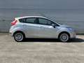 Ford Fiesta 1.25 Titanium|Verwarmde voorruit Gris - thumbnail 5